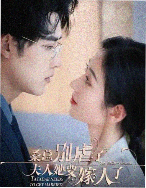 libvio影视悬疑短剧第九块拼图海报